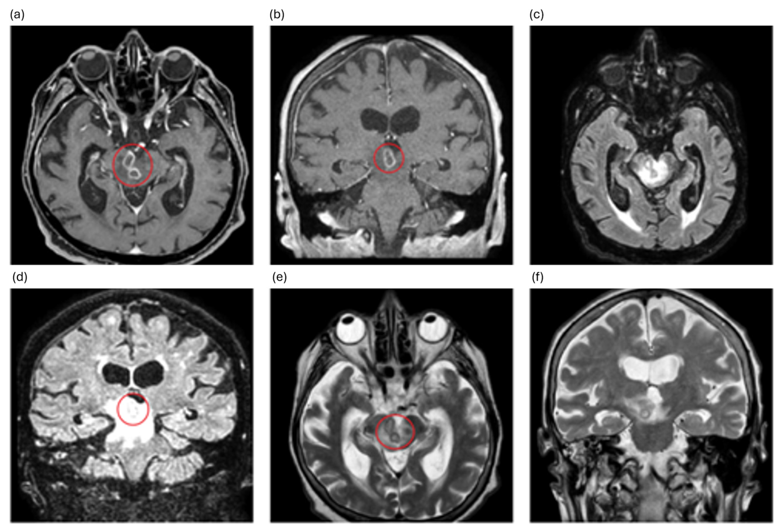 Idr 18 00005 g001 Idr 18 00005 g001