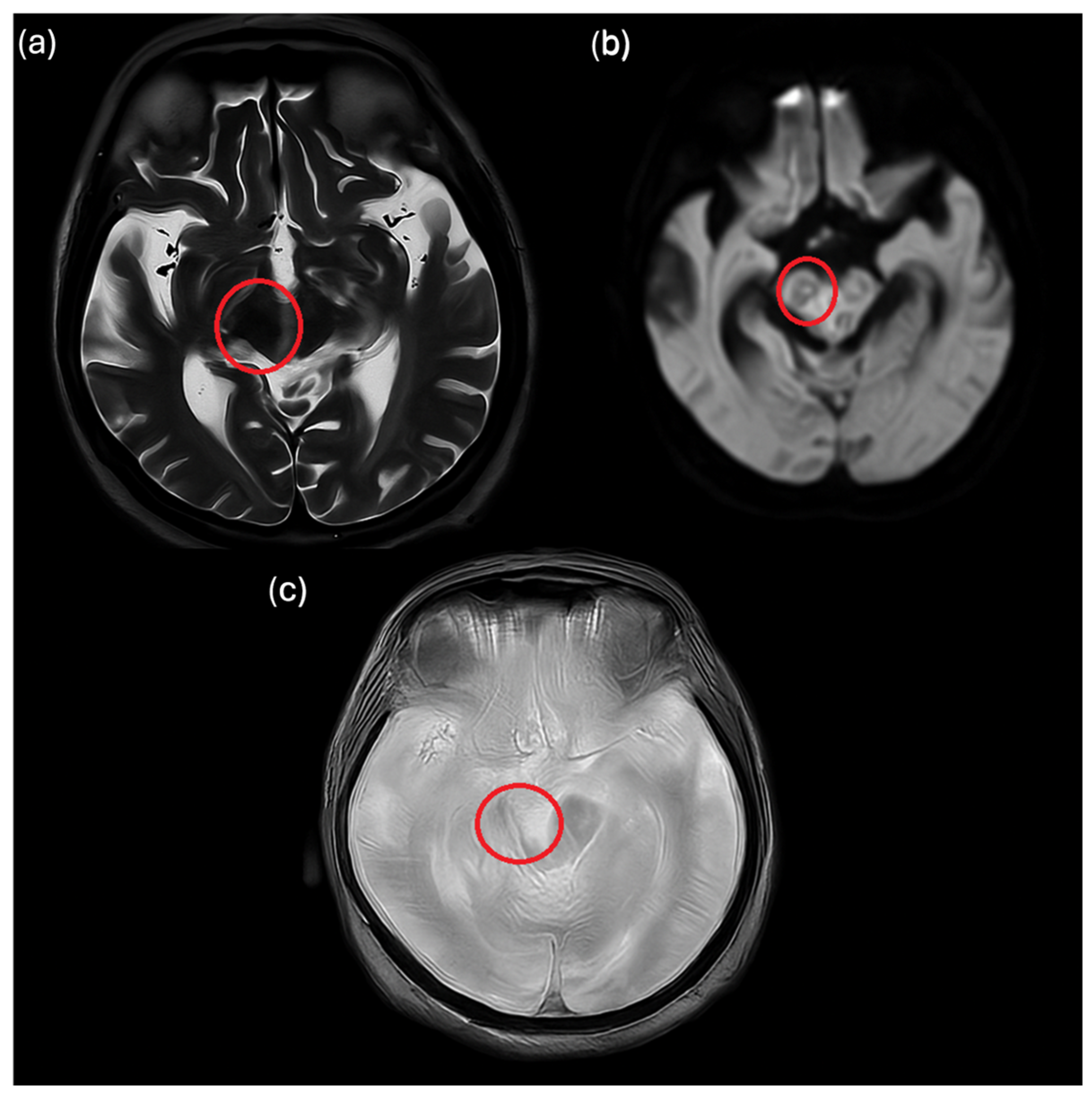 Idr 18 00005 g002 Idr 18 00005 g002