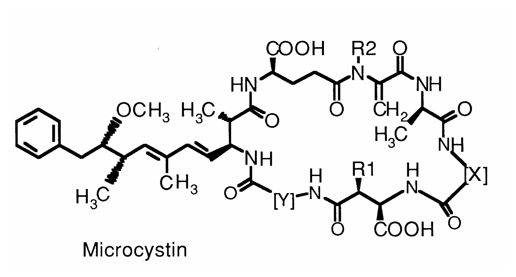 Ijerph 02 00043f2