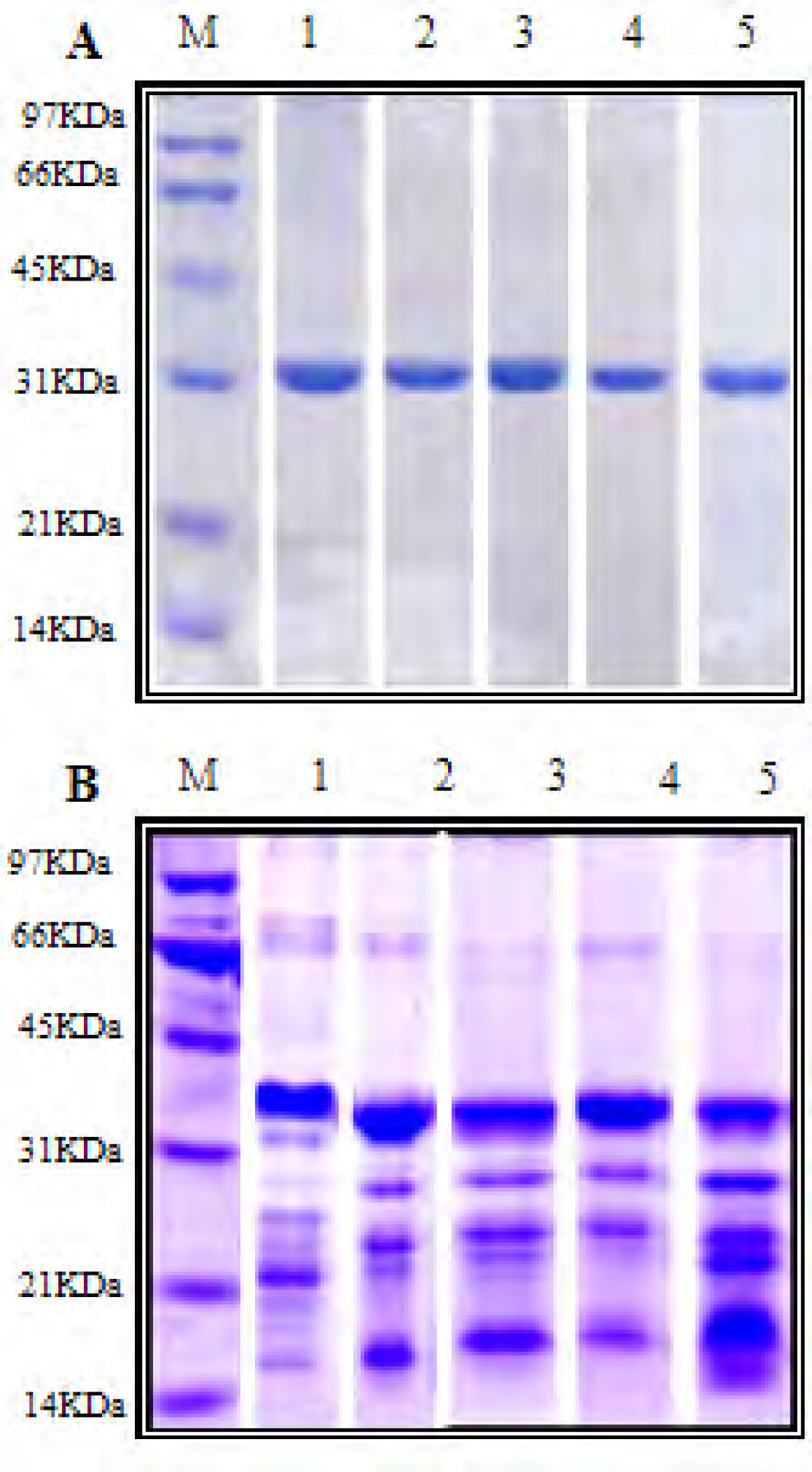 Ijerph 04 00111f1 1024