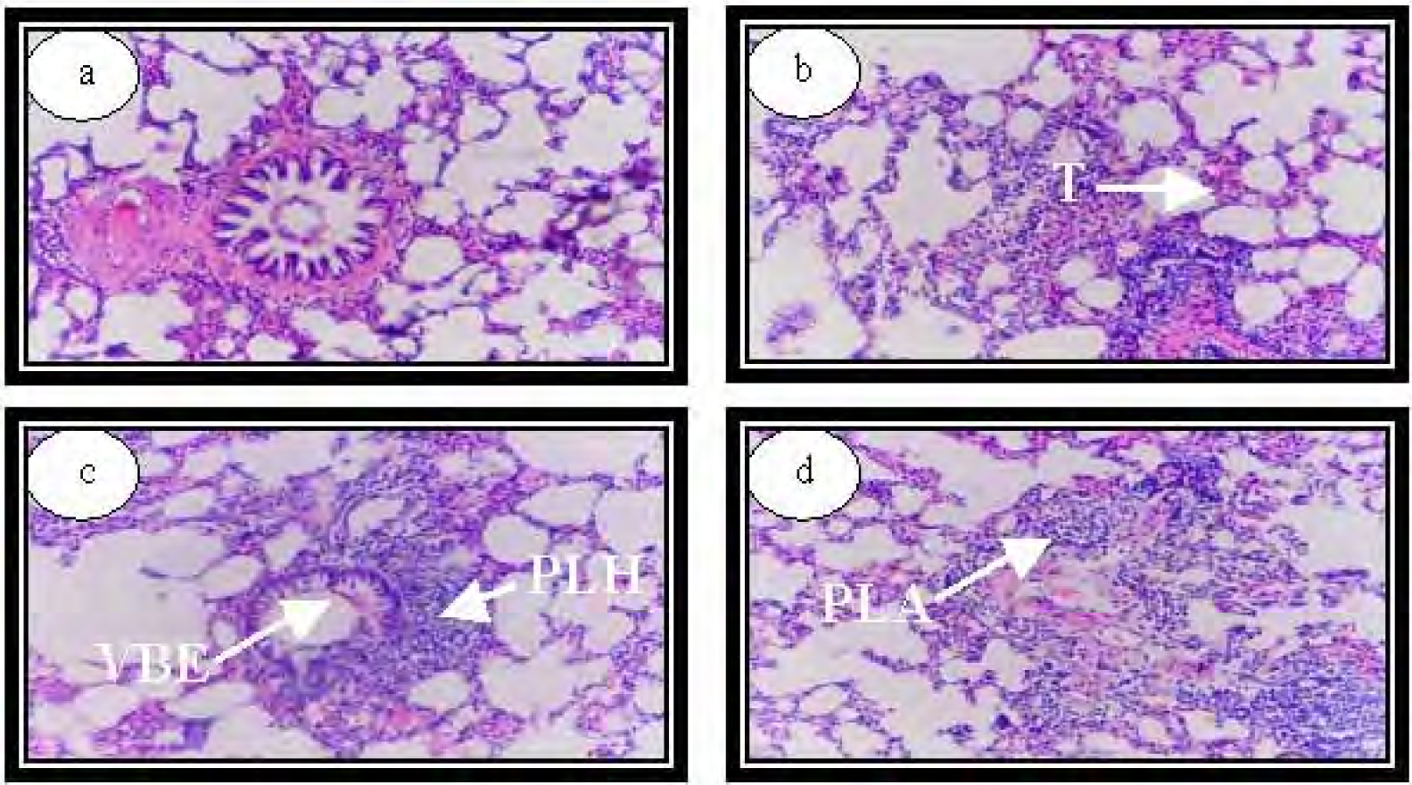 Ijerph 04 00111f10 1024