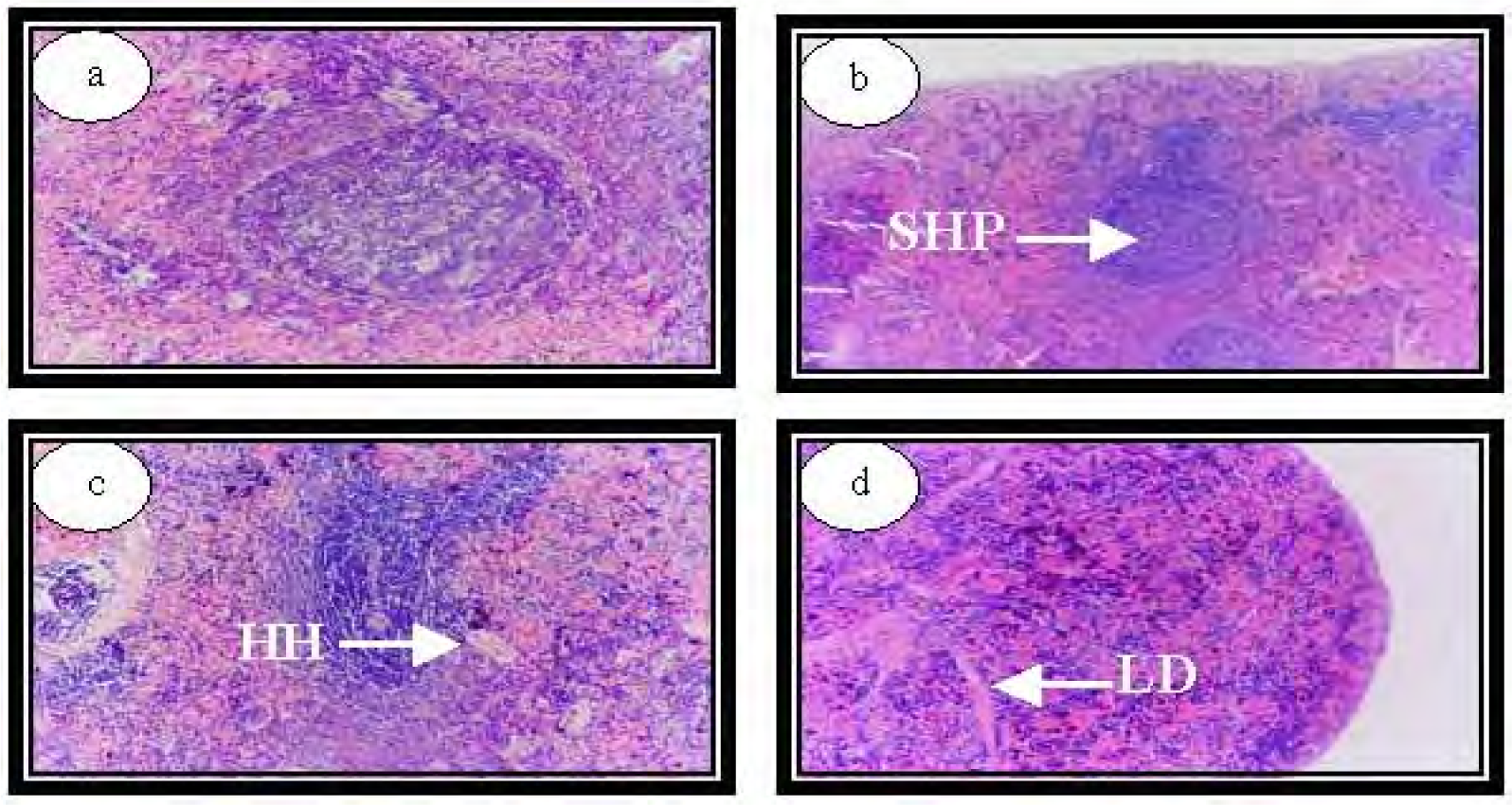 Ijerph 04 00111f11 1024