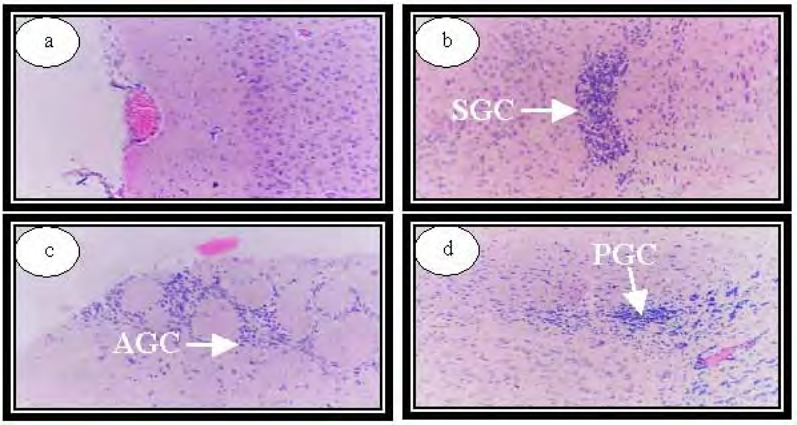 Ijerph 04 00111f12 1024