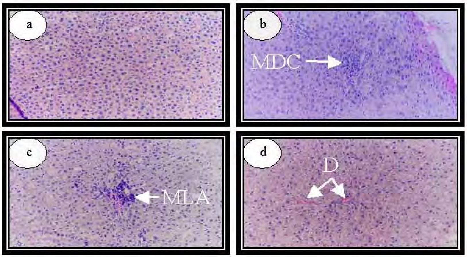 Ijerph 04 00111f6 1024