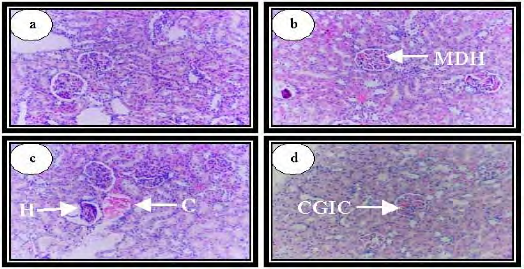 Ijerph 04 00111f7 1024