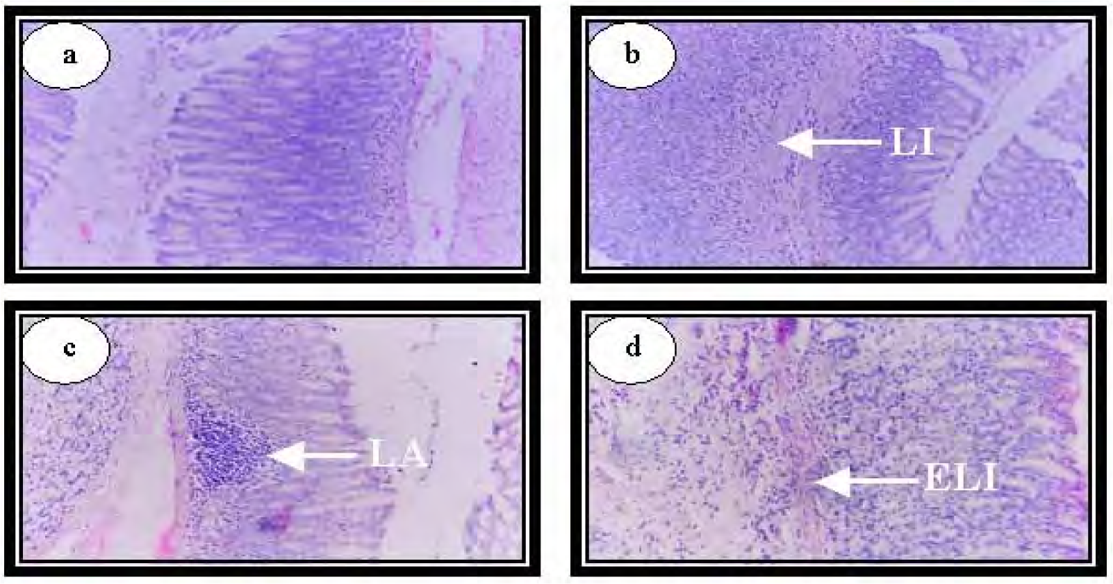 Ijerph 04 00111f9 1024