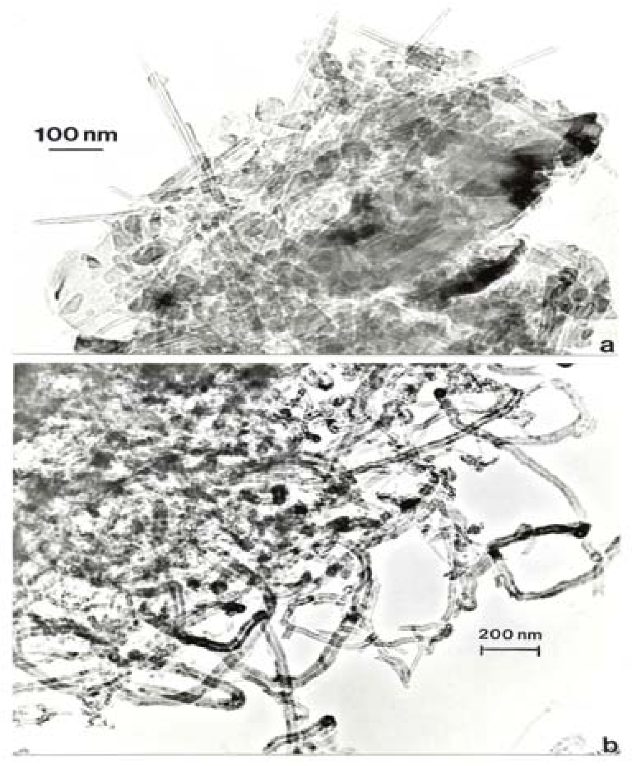 Ijerph 05 00012f15 200