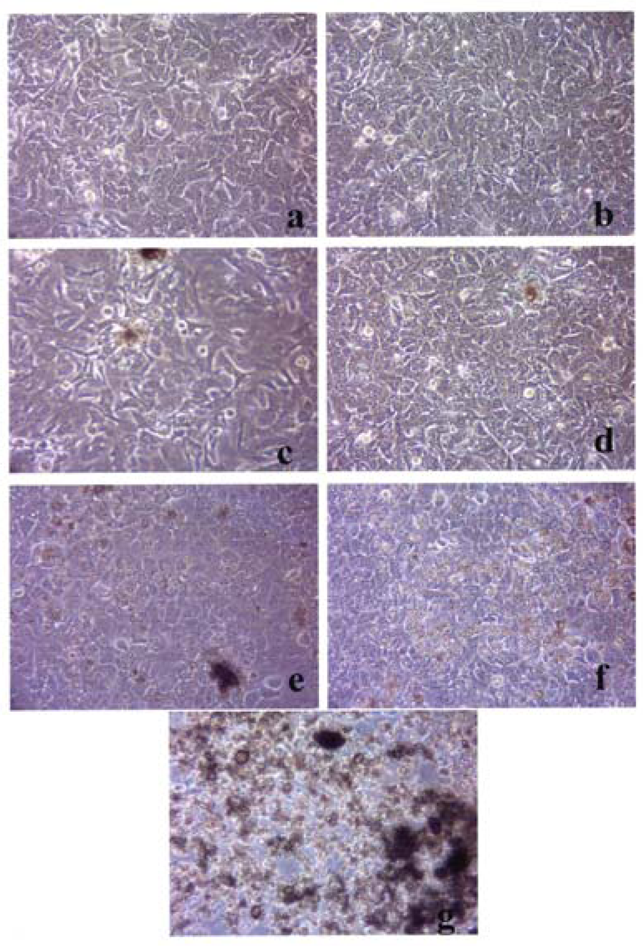 Ijerph 05 00012f3 200