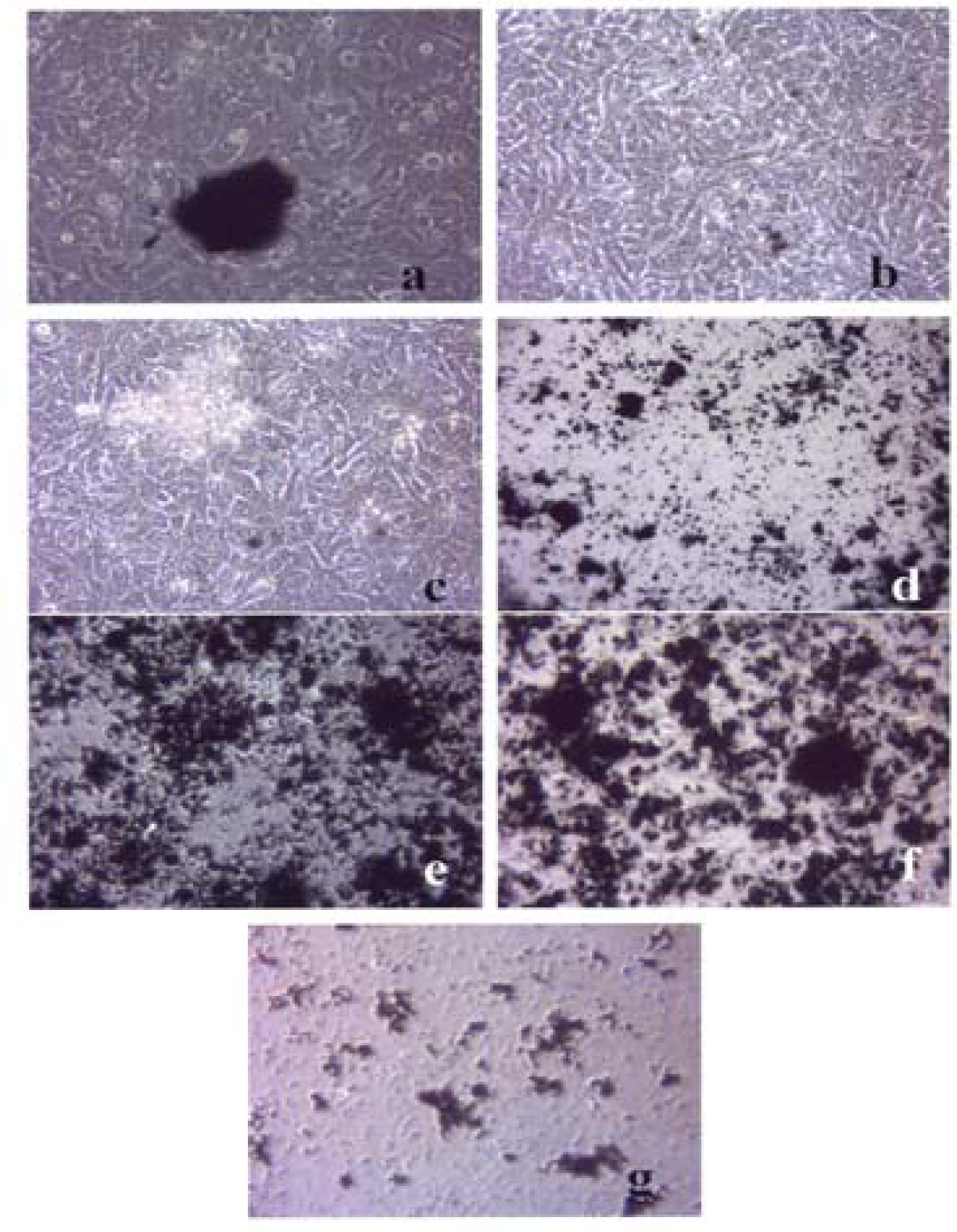 Ijerph 05 00012f5 200