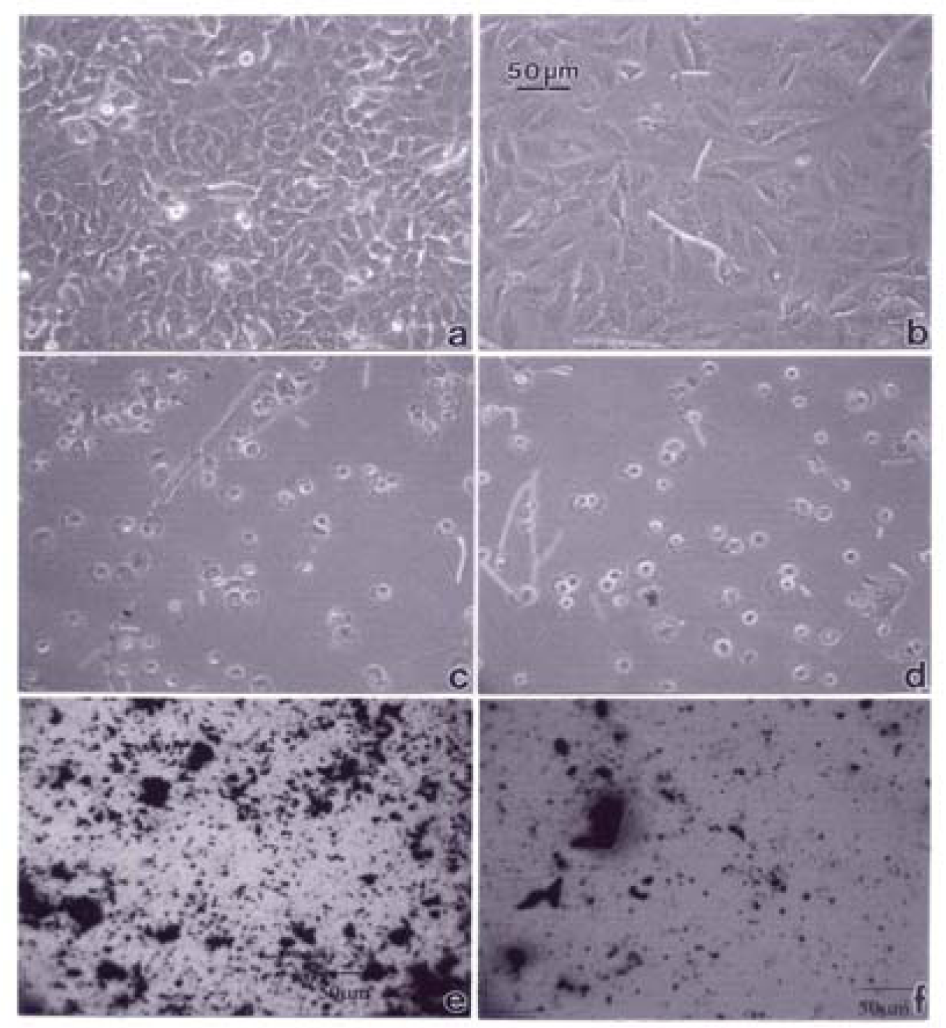 Ijerph 05 00012f6 200