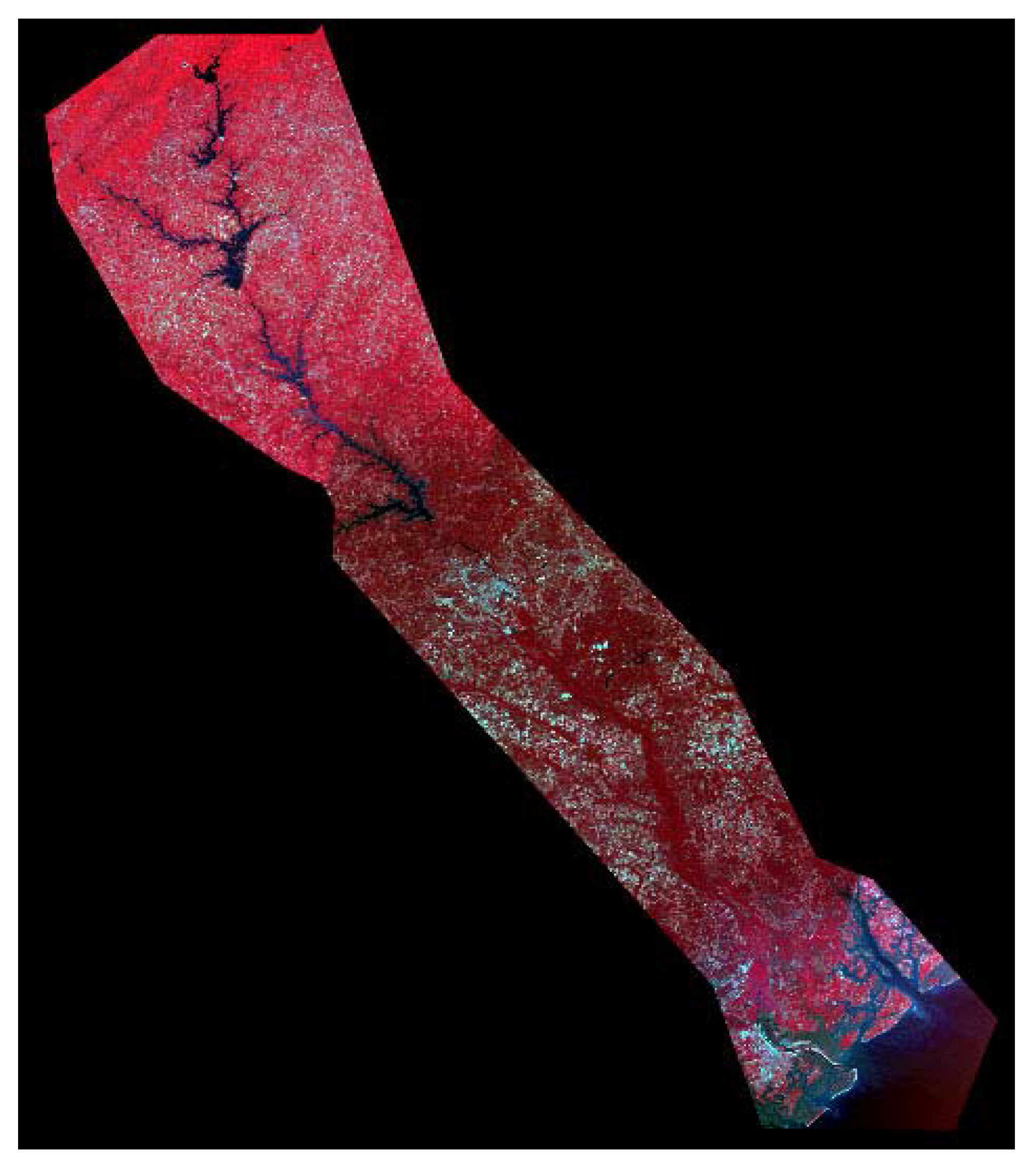 Ijerph 05 00054 g004