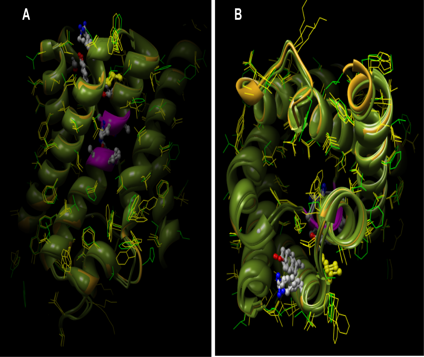 Ijerph 05 00115f2 1024