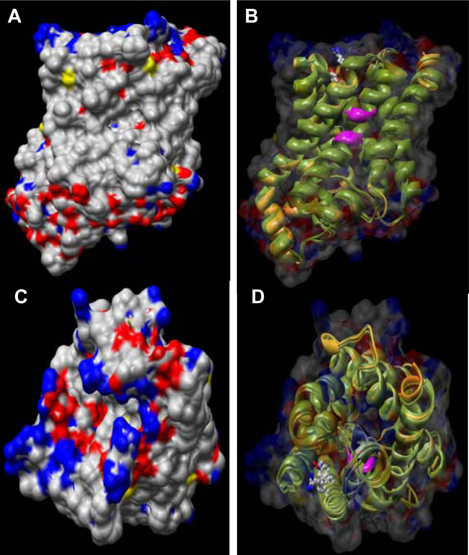 Ijerph 05 00115f4 1024