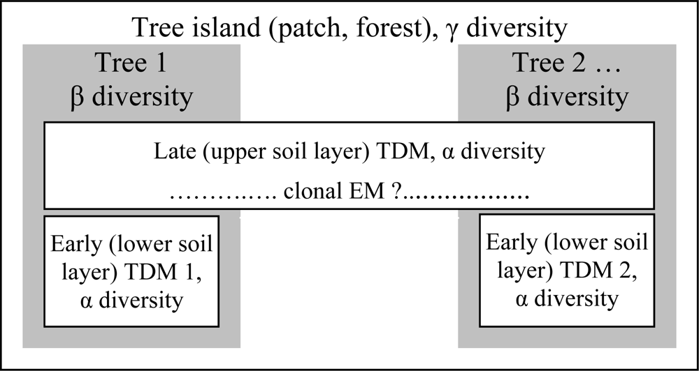 Ijerph 06 00414f2 1024