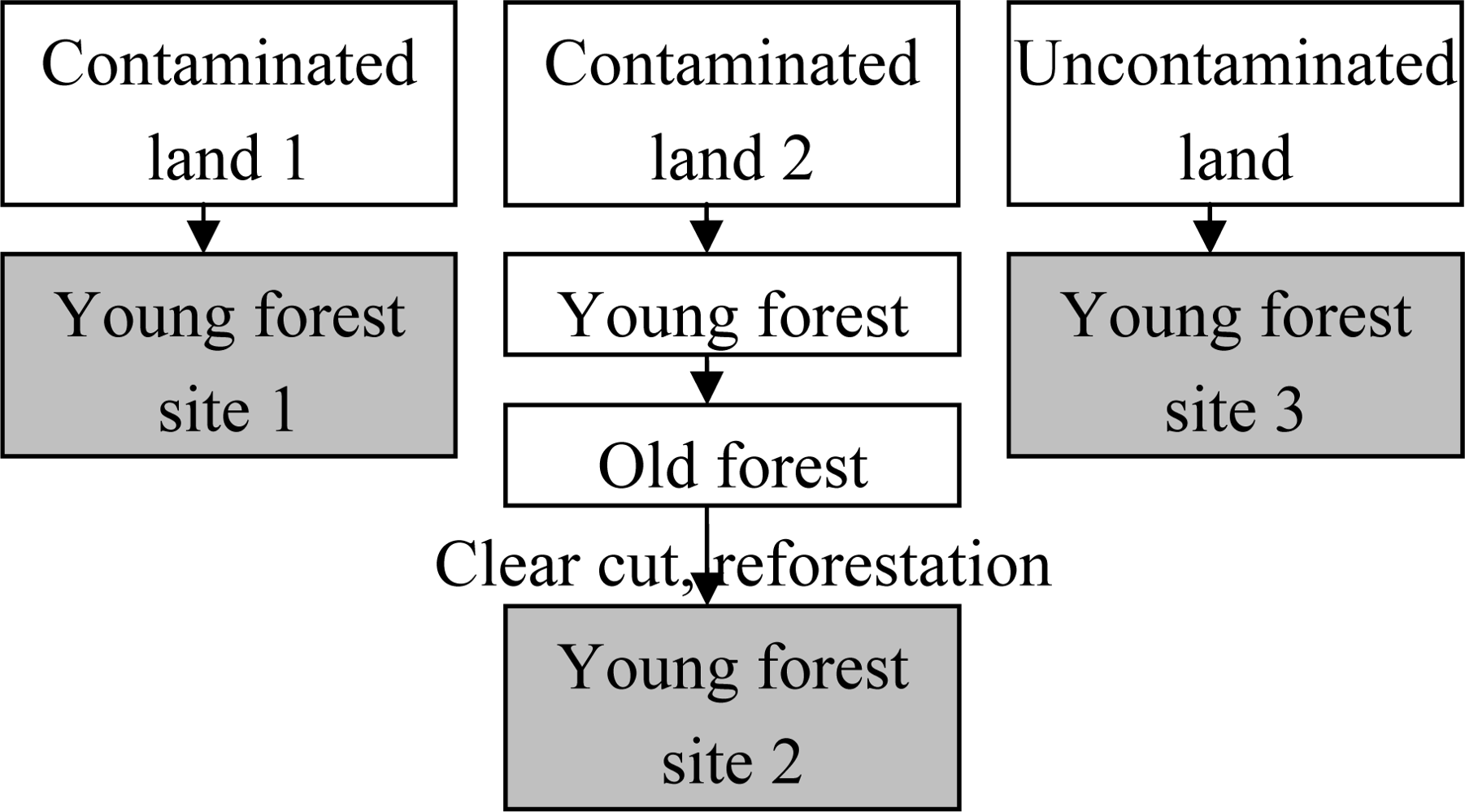 Ijerph 06 00414f3 1024