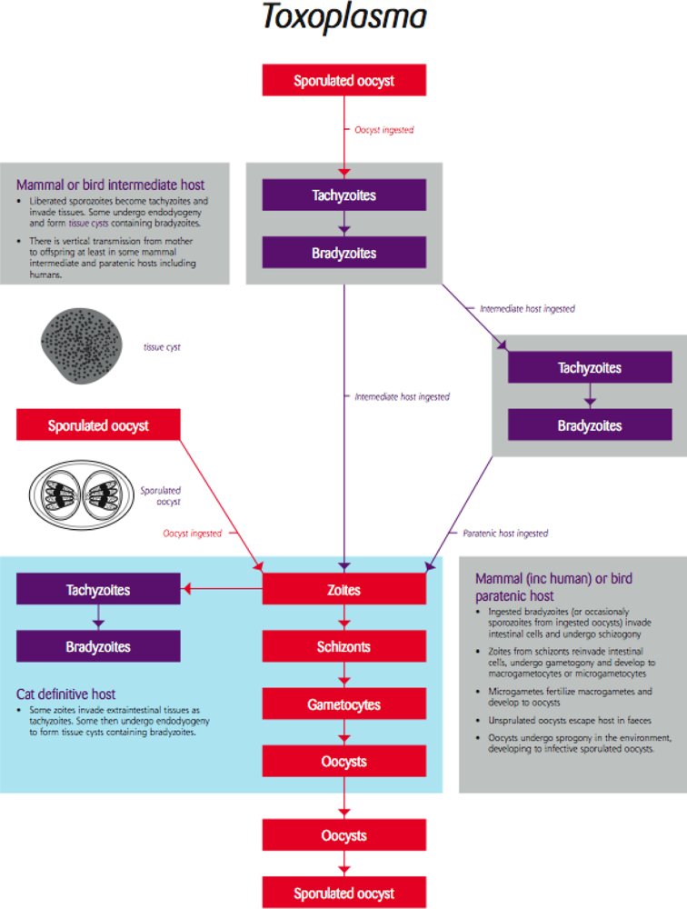 Ijerph 06 00678f5 1024