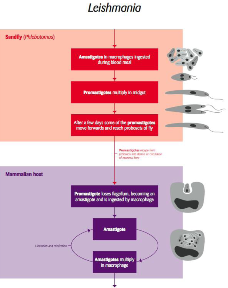 Ijerph 06 00678f6 1024