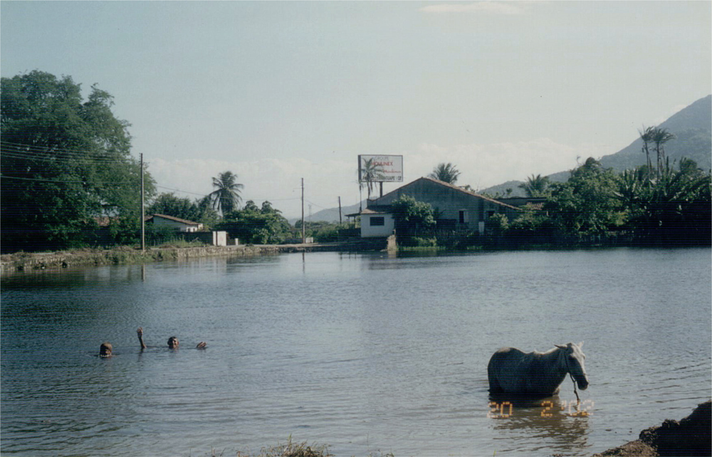 Ijerph 06 00980f1 1024