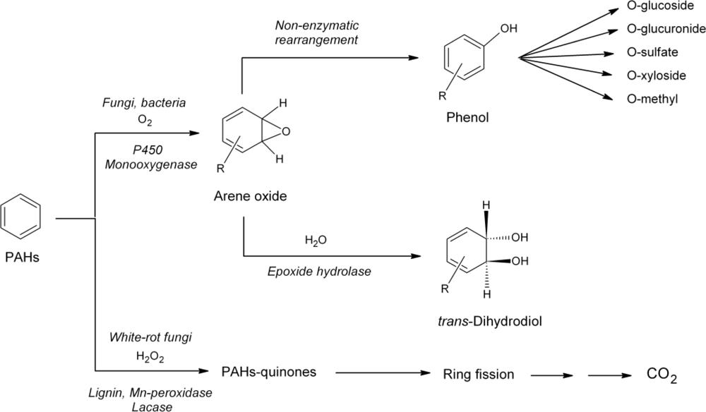 Ijerph 06 01393f2 1024