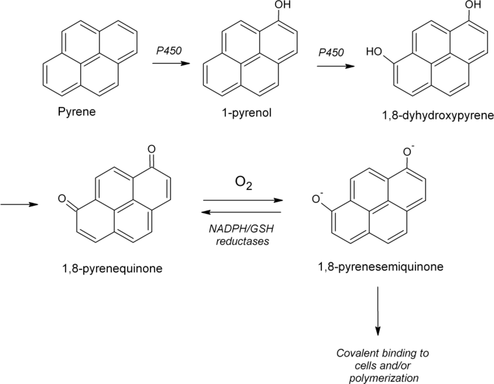 Ijerph 06 01393f3 1024