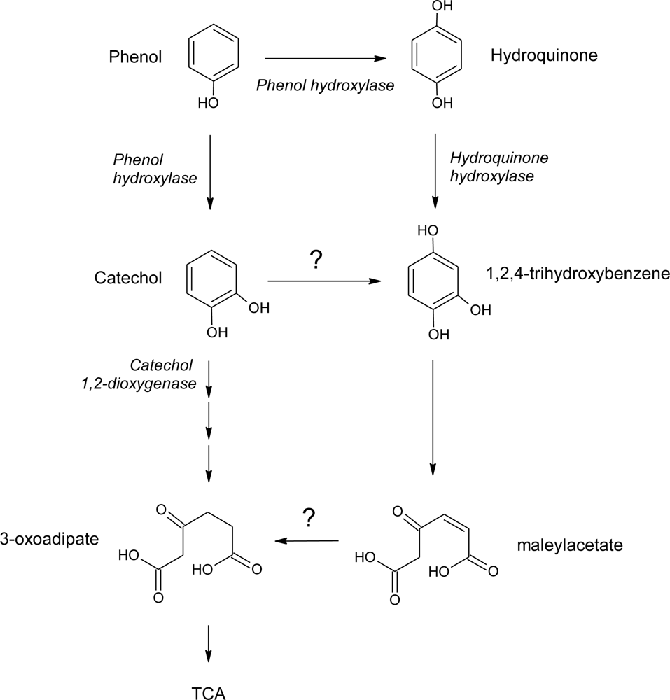 Ijerph 06 01393f4 1024