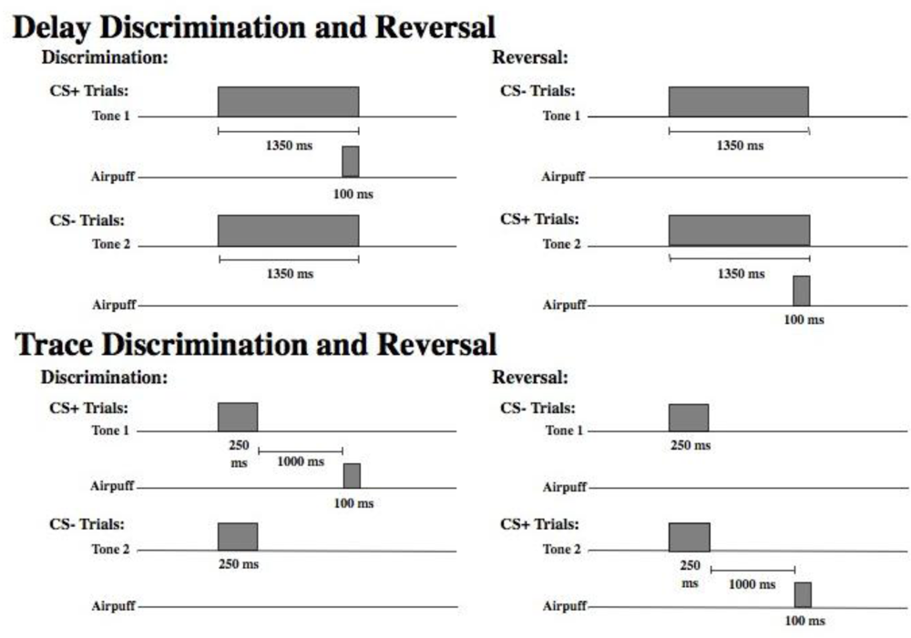 Ijerph 06 02007f1 1024