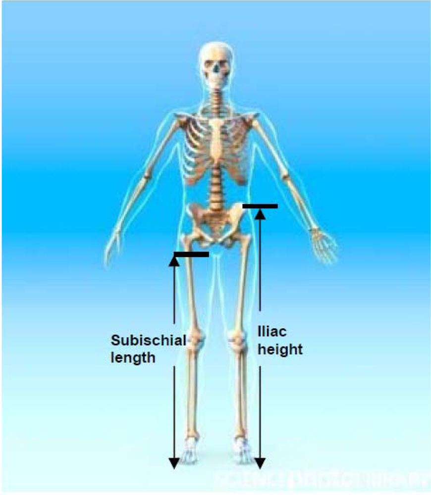 IJERPH | Free Full-Text | Leg Length, Body Proportion, and Health: A Review  with a Note on Beauty