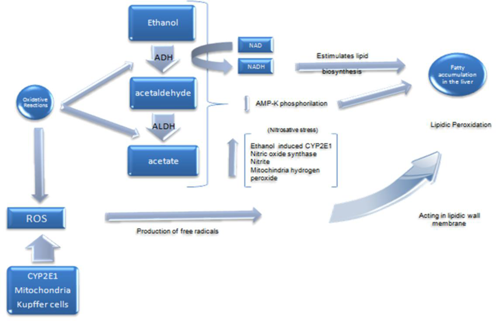 Ijerph 07 01872f1 1024