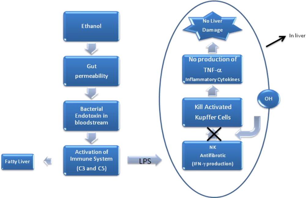 Ijerph 07 01872f2 1024