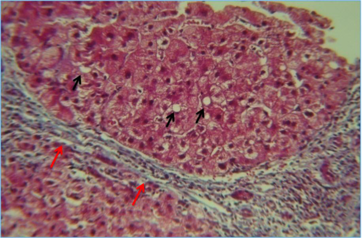 Ijerph 07 01872f3 1024