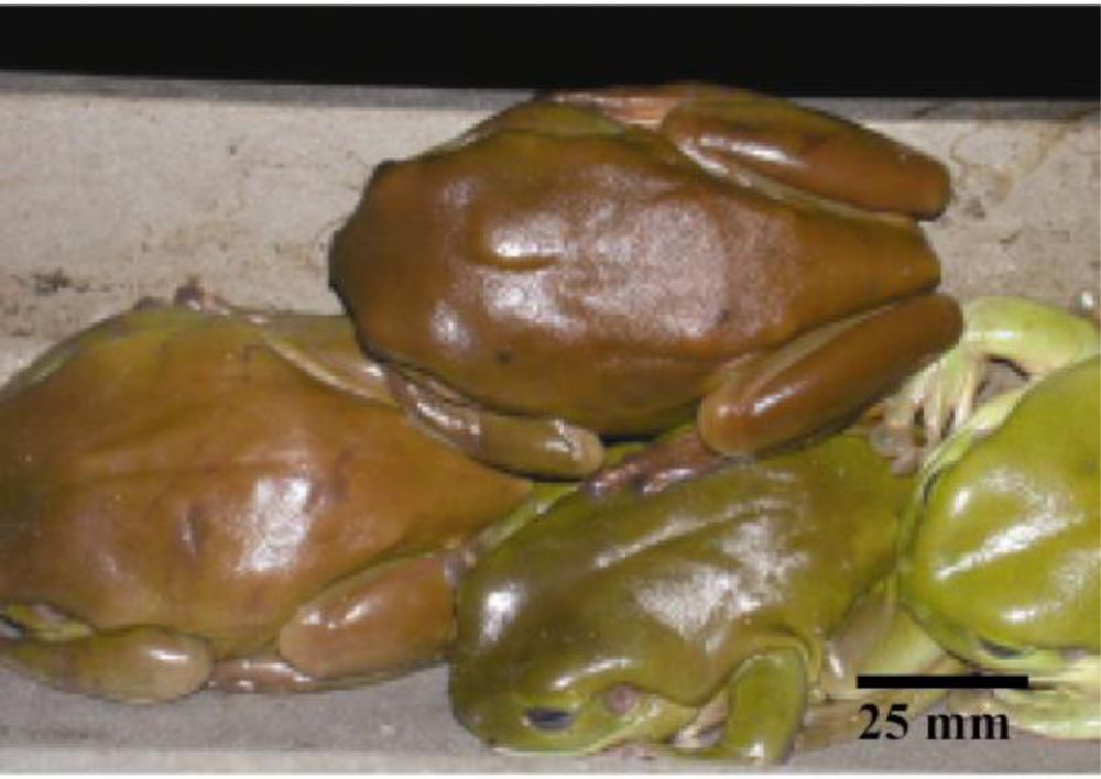 Ijerph 07 03225f1 1024