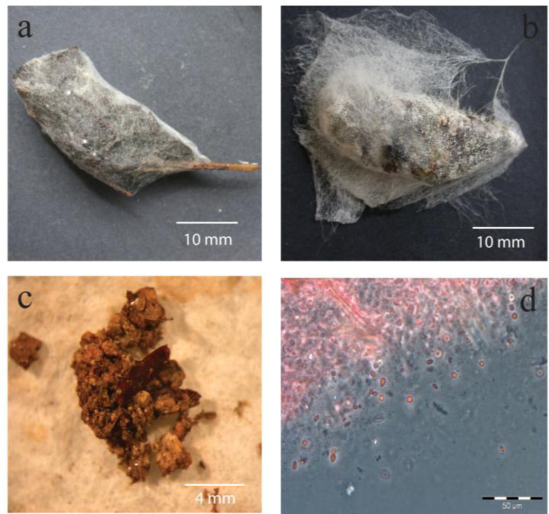 Ijerph 07 03225f2 1024