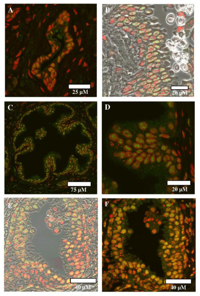 Ijerph 07 03871f2 1024