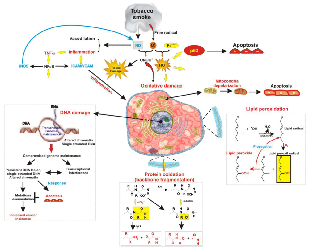 Ijerph 07 04111f1 1024