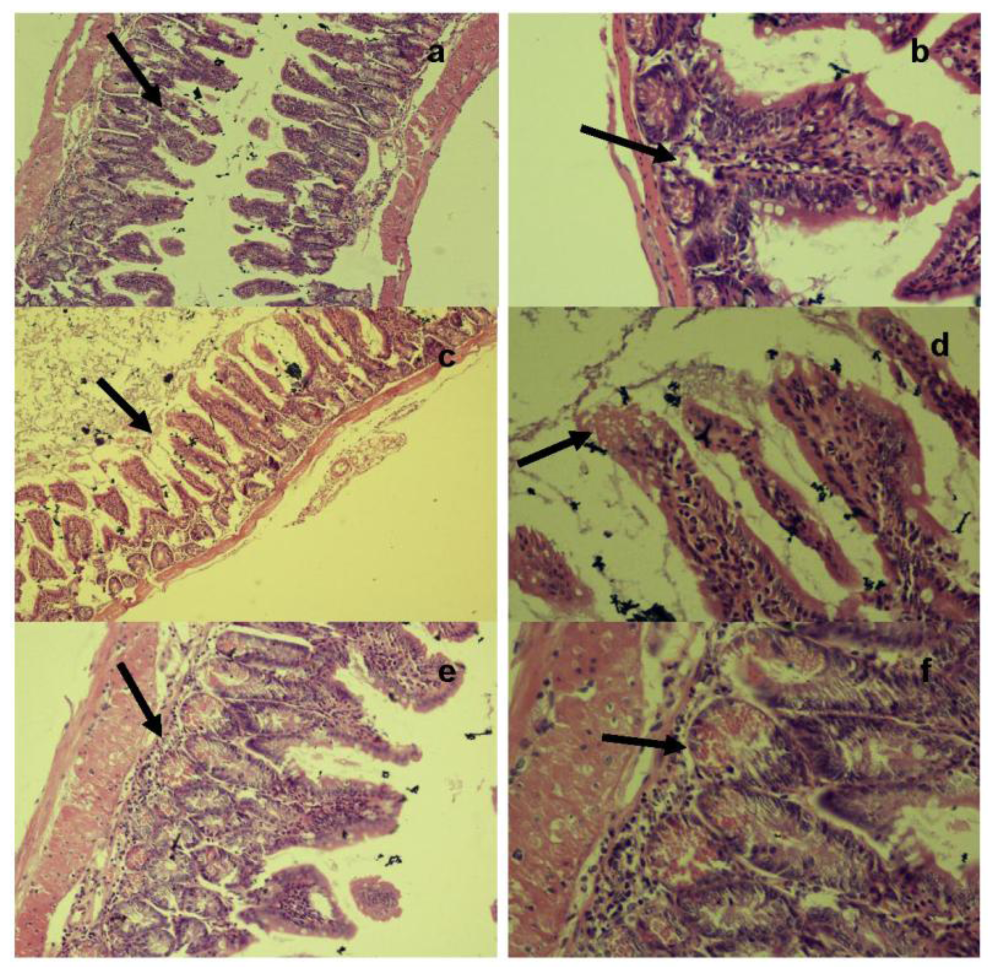 Ijerph 08 00021f7 1024