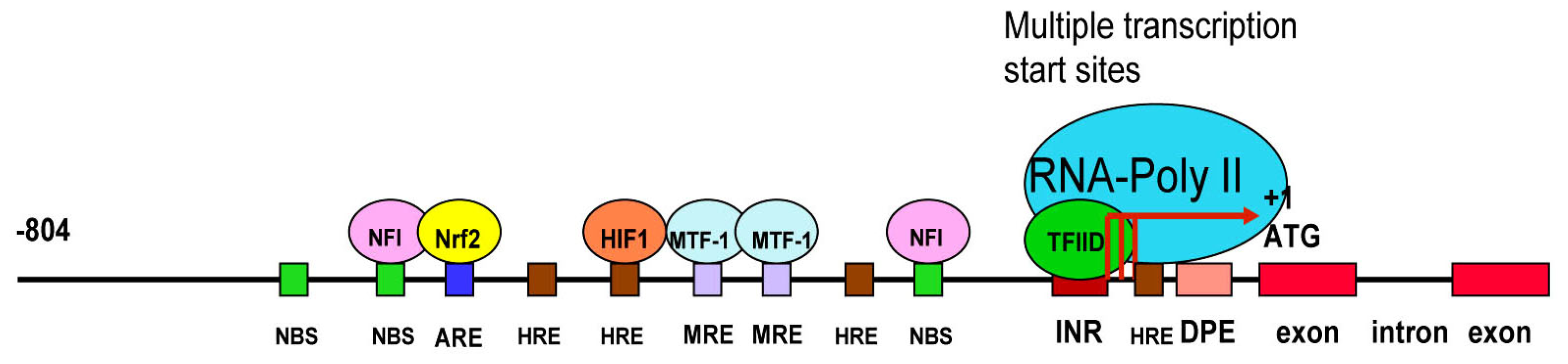 Ijerph 08 00161f2 1024