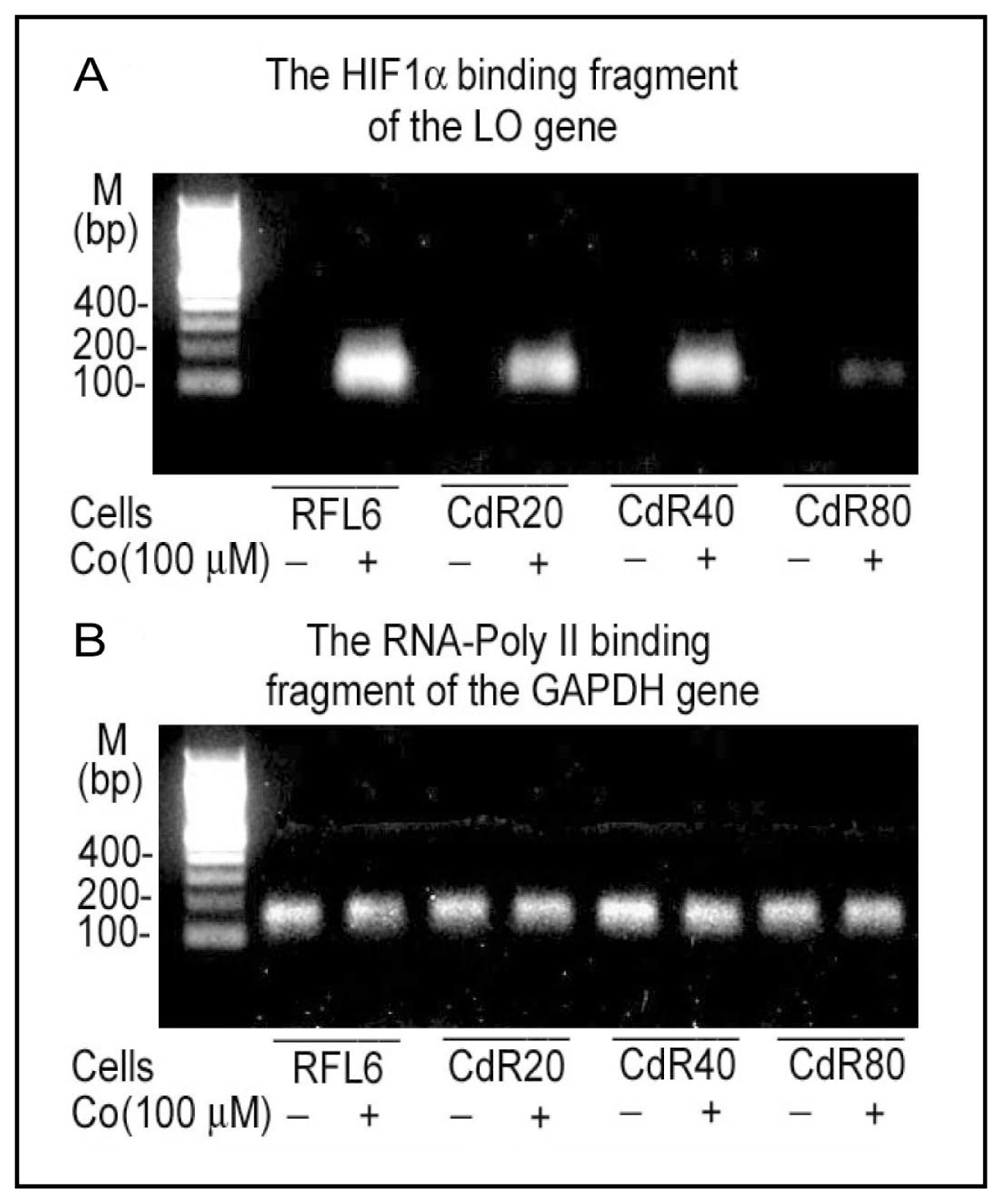 Ijerph 08 00161f3 1024