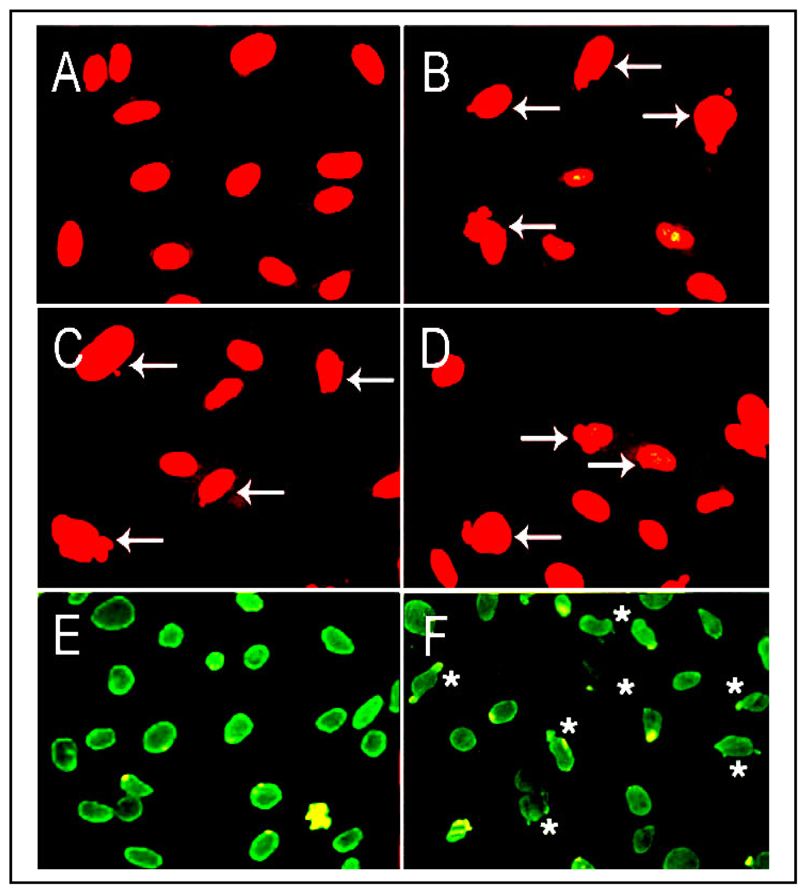 Ijerph 08 00161f5 1024
