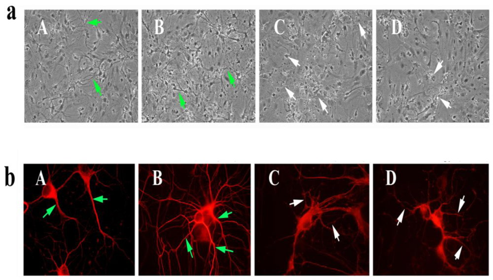 Ijerph 08 00203f2 1024