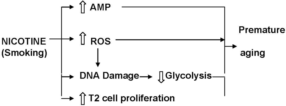 Ijerph 08 00875f2 1024