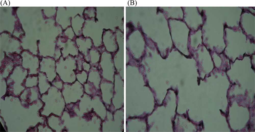 Ijerph 08 00875f3 1024