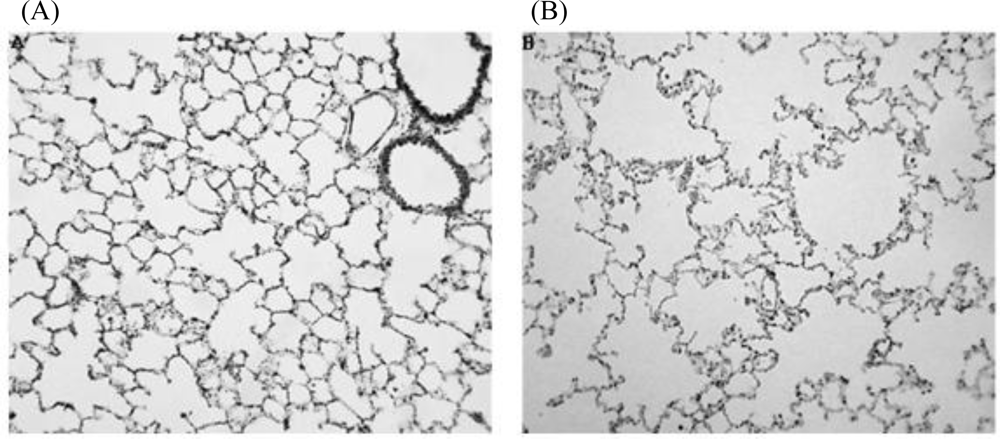 Ijerph 08 00875f5 1024