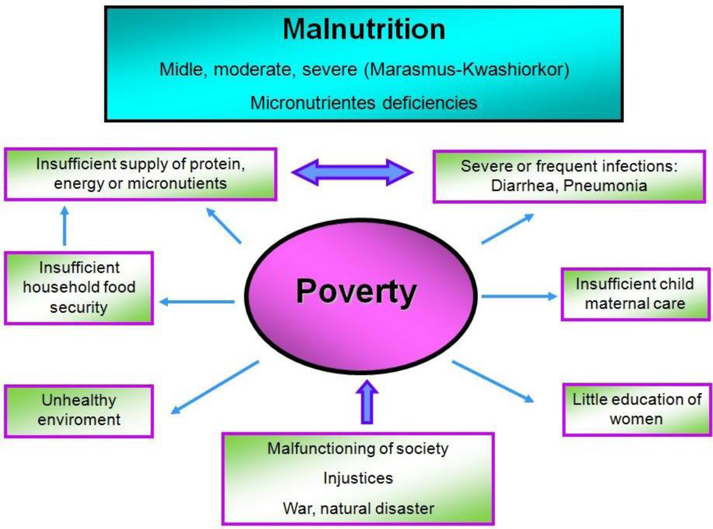 Malnutrition Stages