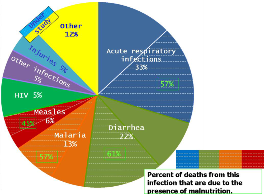 Ijerph 08 01174f2 1024