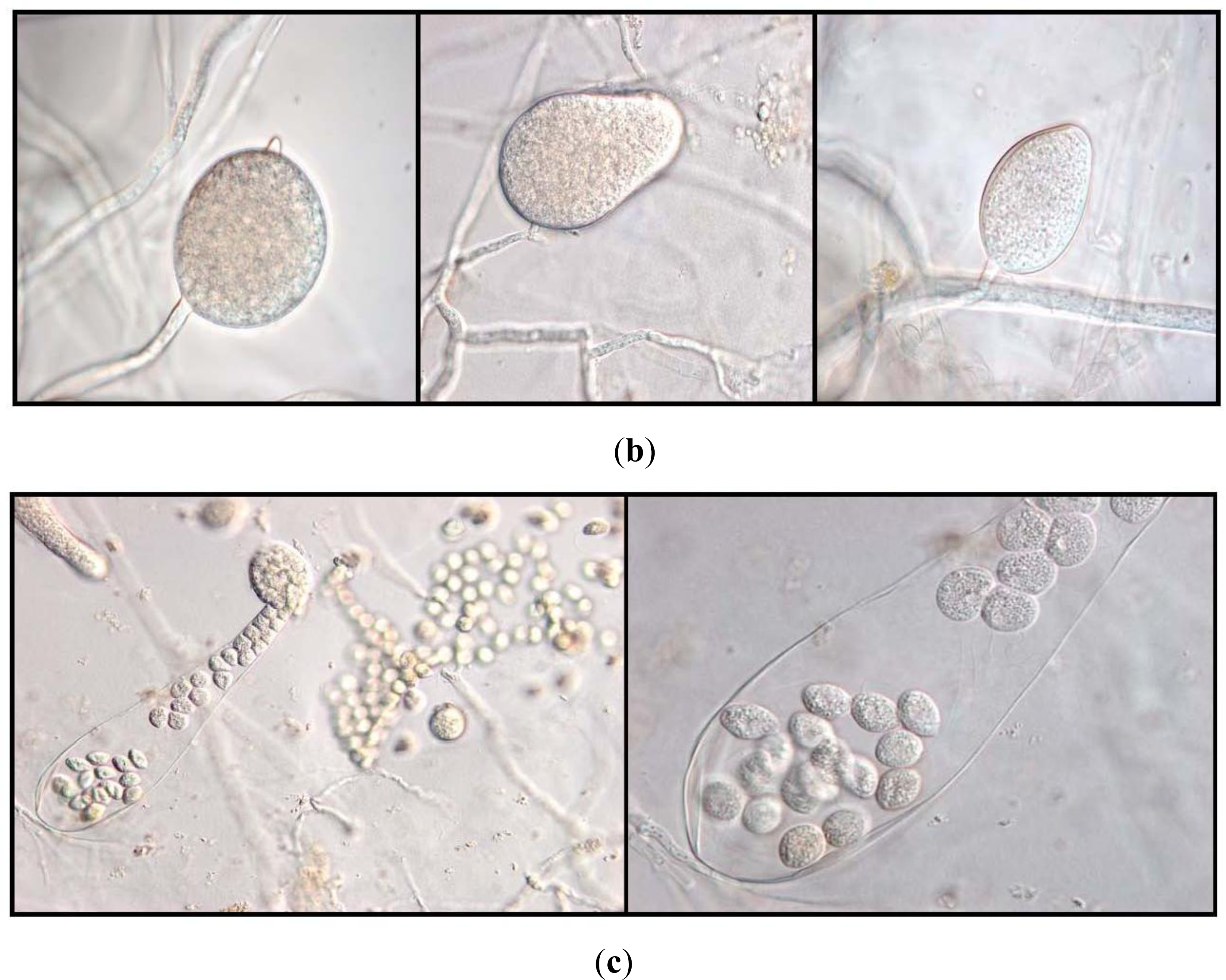 Ijerph 08 01560f4b 1024