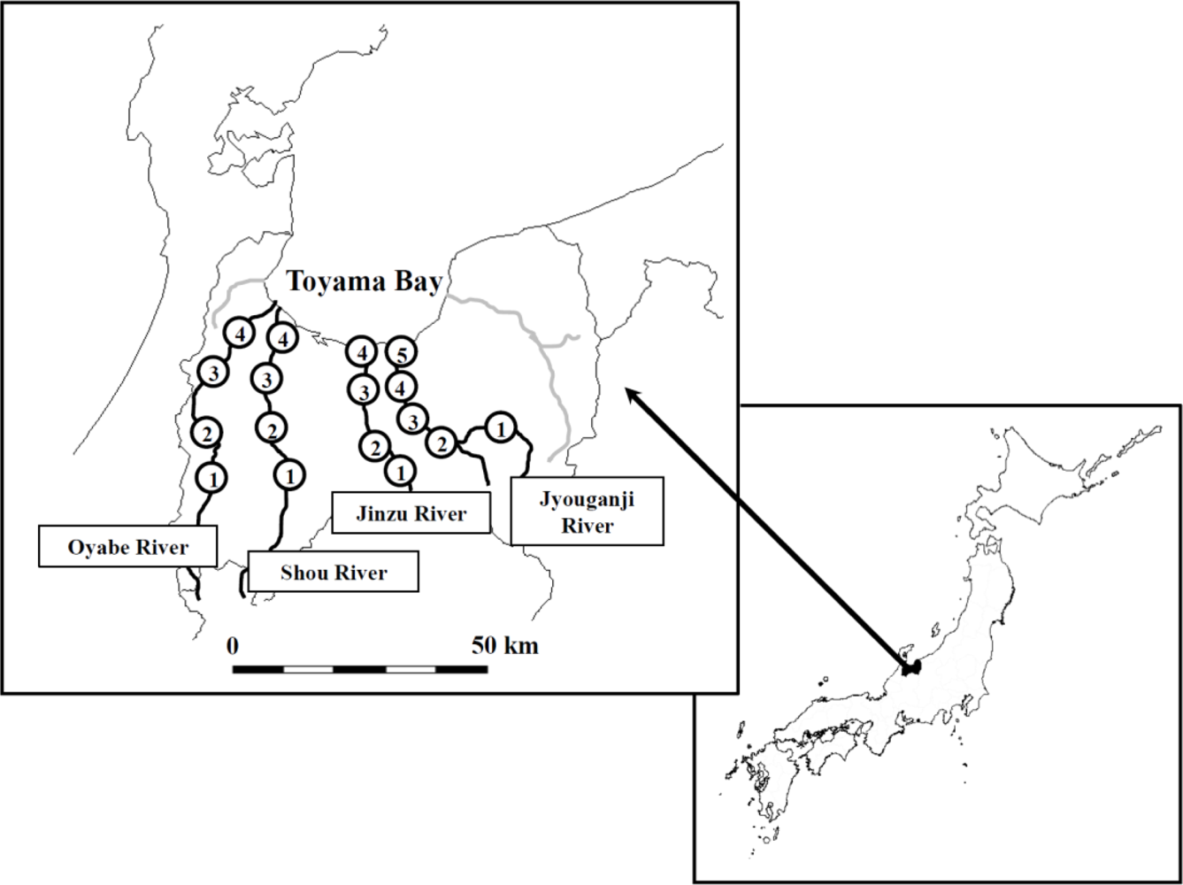 Ijerph 08 01655f1 1024