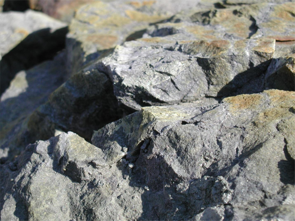 Ijerph 08 02240f2 1024