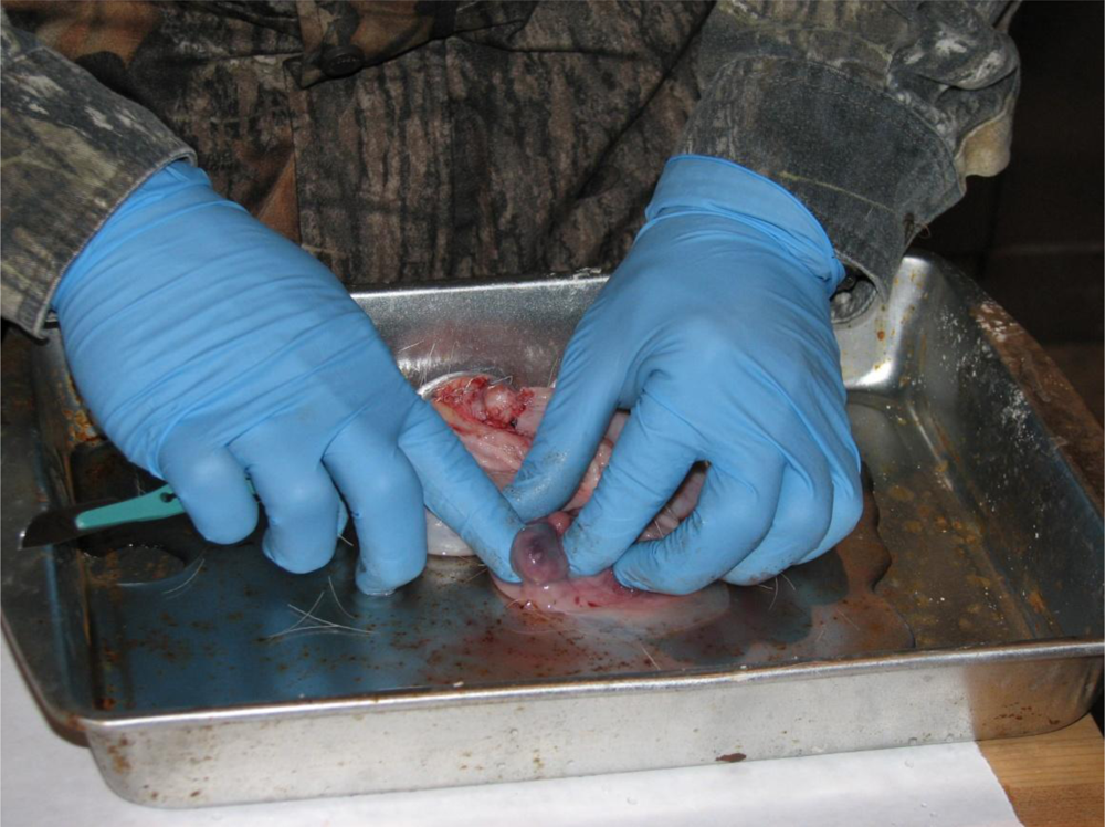 Ijerph 08 02556f1 1024