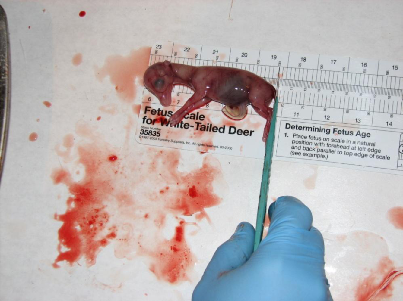 Ijerph 08 02556f2 1024