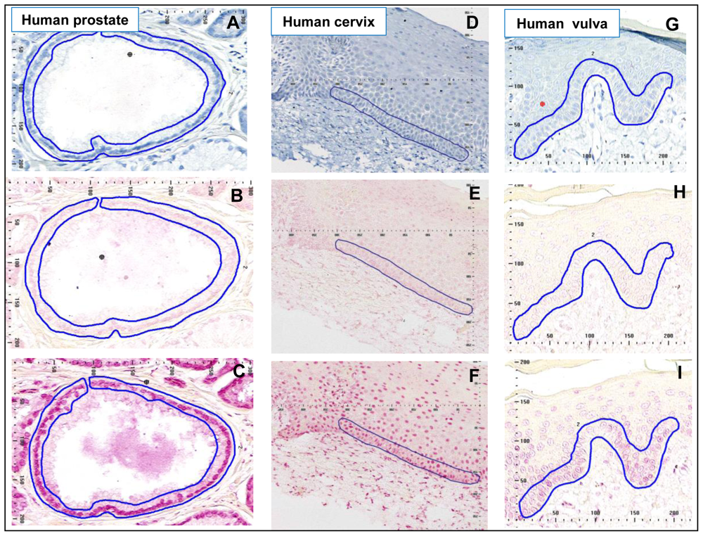 Ijerph 08 02675f3 1024